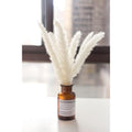 Pampas secas brancas para decoração boho